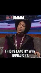 13126_10152842631956325_5227932184952139085_n